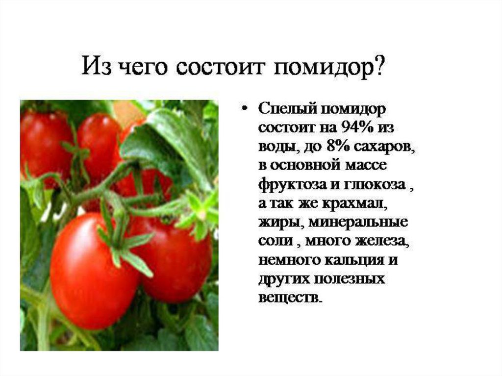 Почему не растут помидоры. Сообщение о культурном растении томат. Помидор для презентации. Презентация на тему помидор.