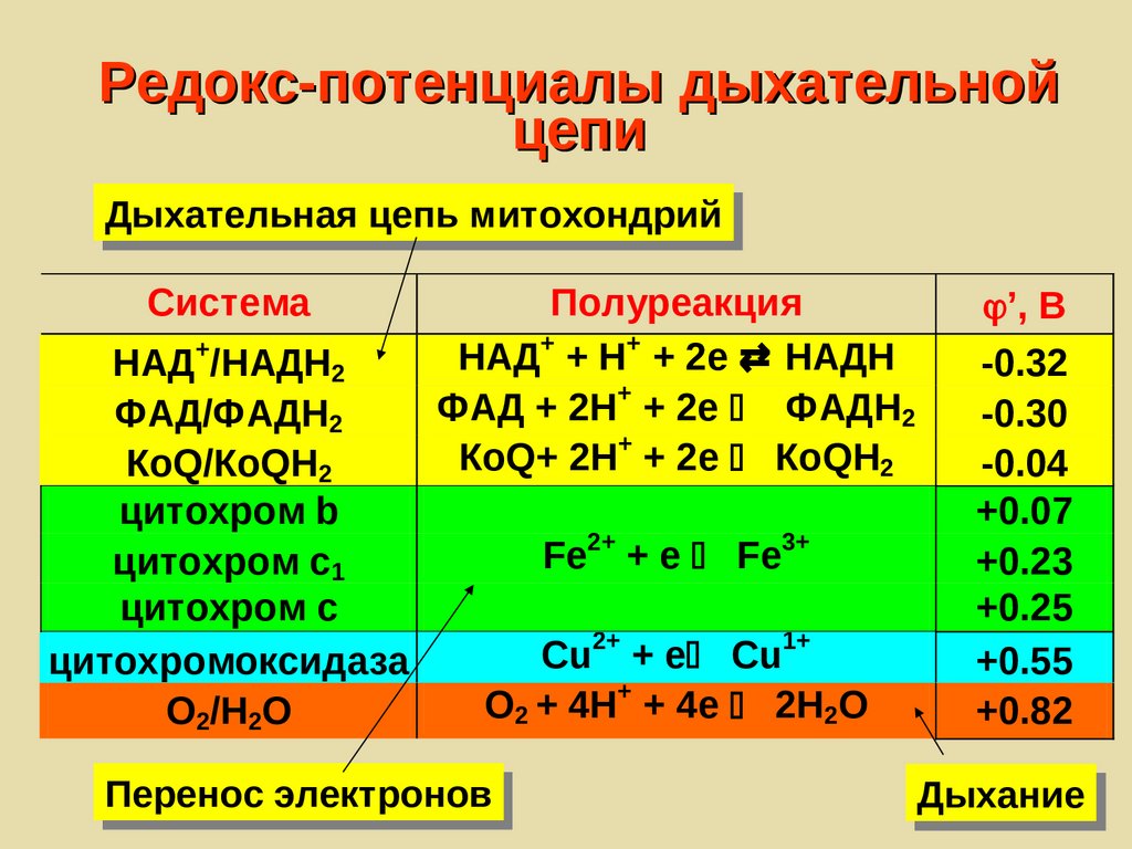 H3po4 с металлами реакция. Биохимическое равновесие. Механизмы реакций с переносом электрона. Перенос электрона в химических системах. Перенос электрона в растворах.