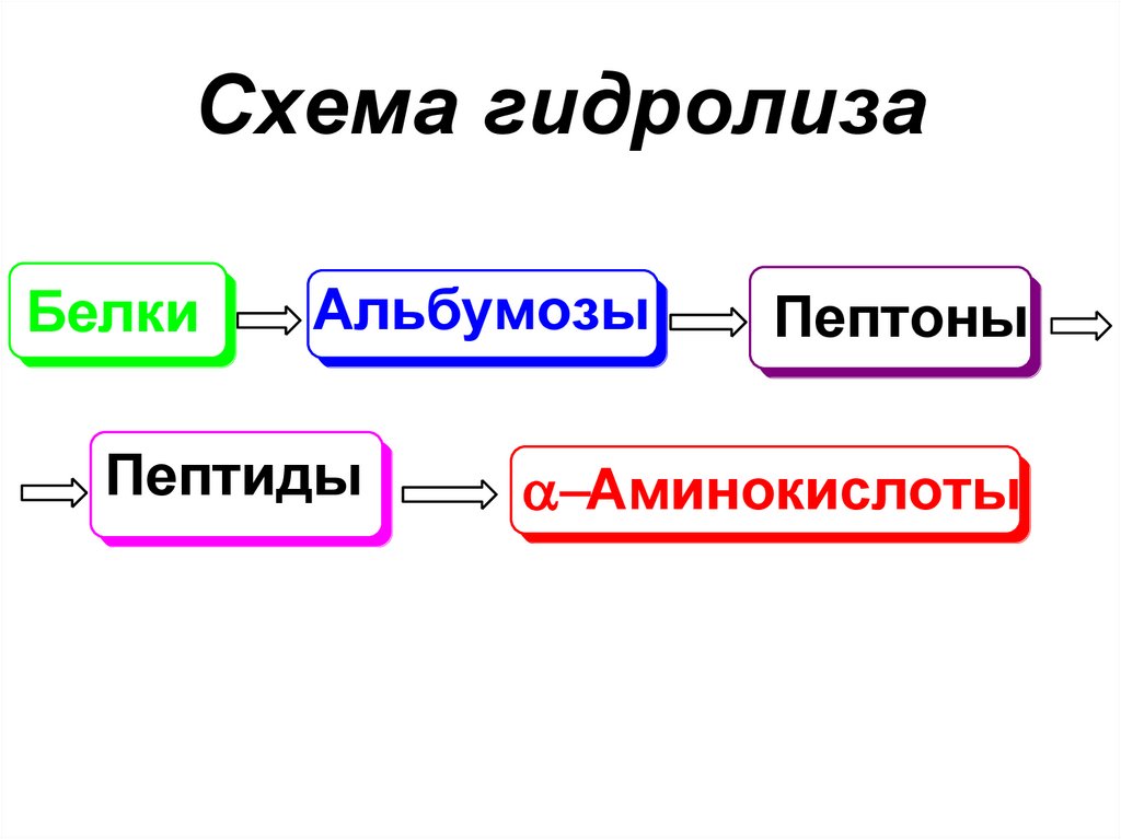 Схема гидролиза