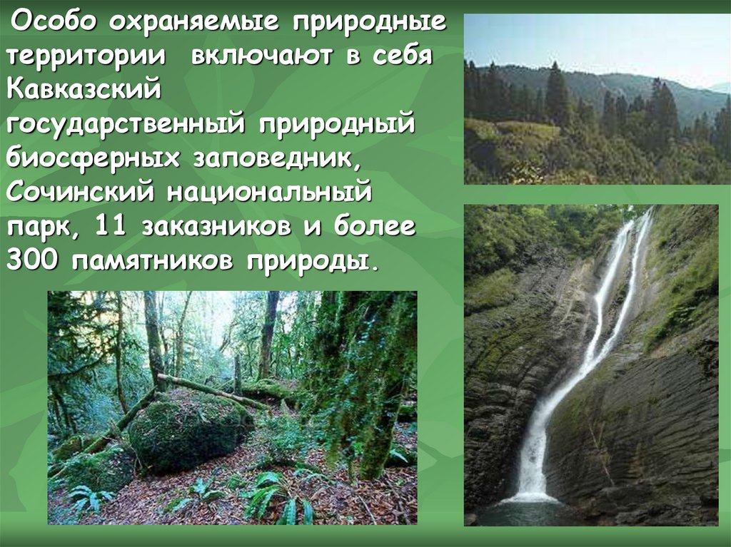 Какие природные объекты на территории. Охрана природы Краснодарского края. Заповедники и национальные парки Краснодарского края. Особо охраняемые природные территории памятники природы. Презентация охрана природы Краснодарского края.