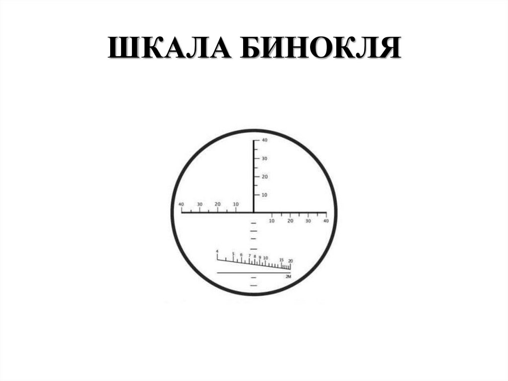ШКАЛА БИНОКЛЯ