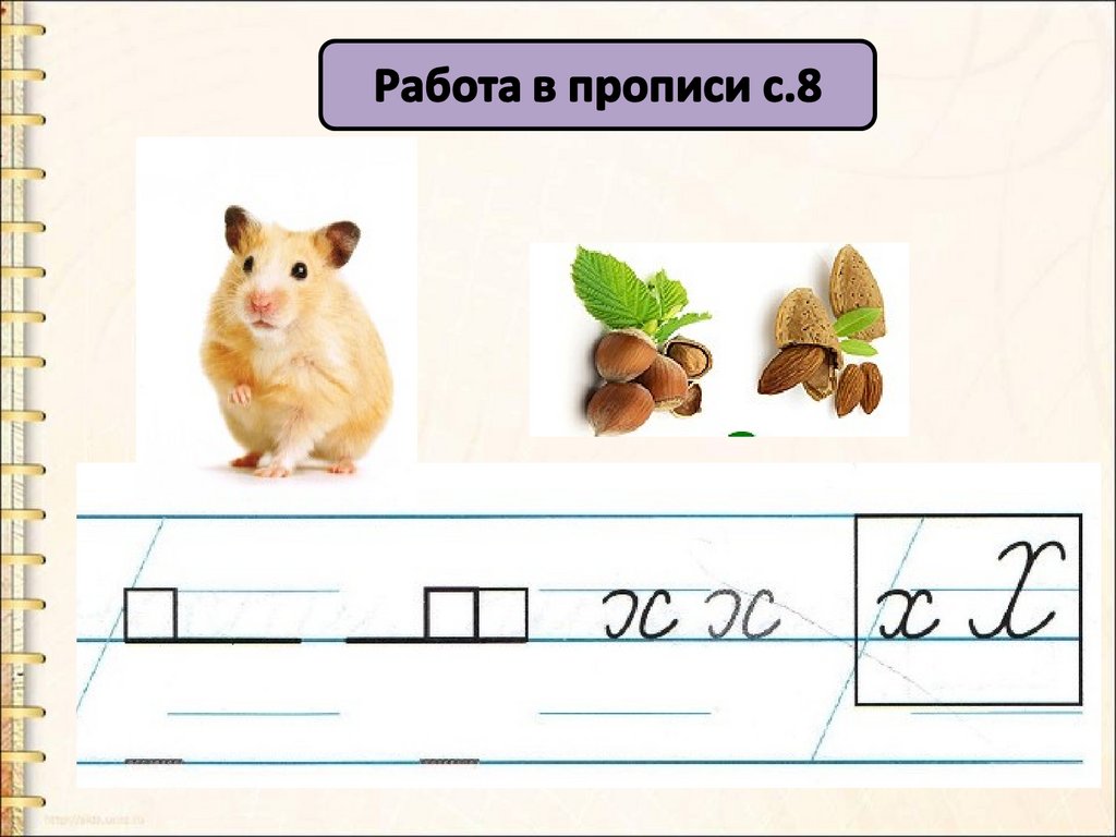 Работа в прописи с.8