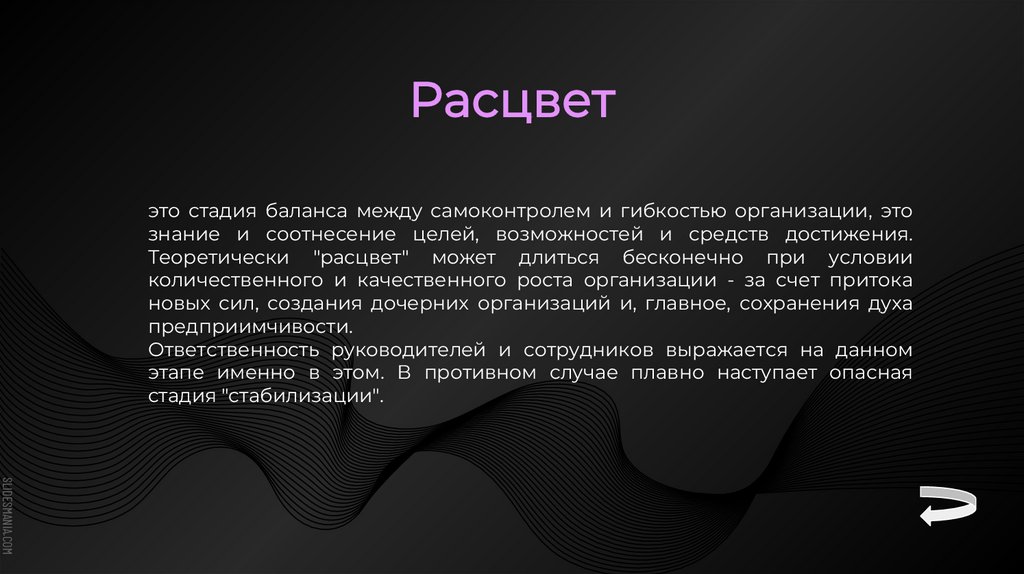 Теория жизненных циклов организации И. Адизеса - презентация онлайн