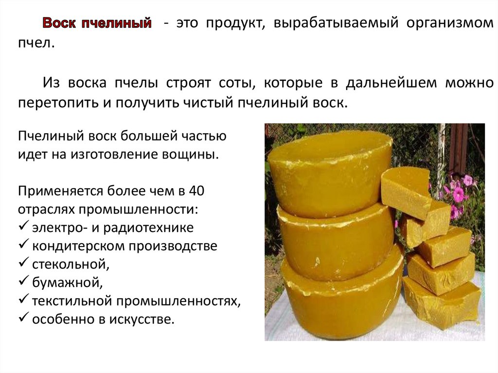 Продукция пчеловодства презентация