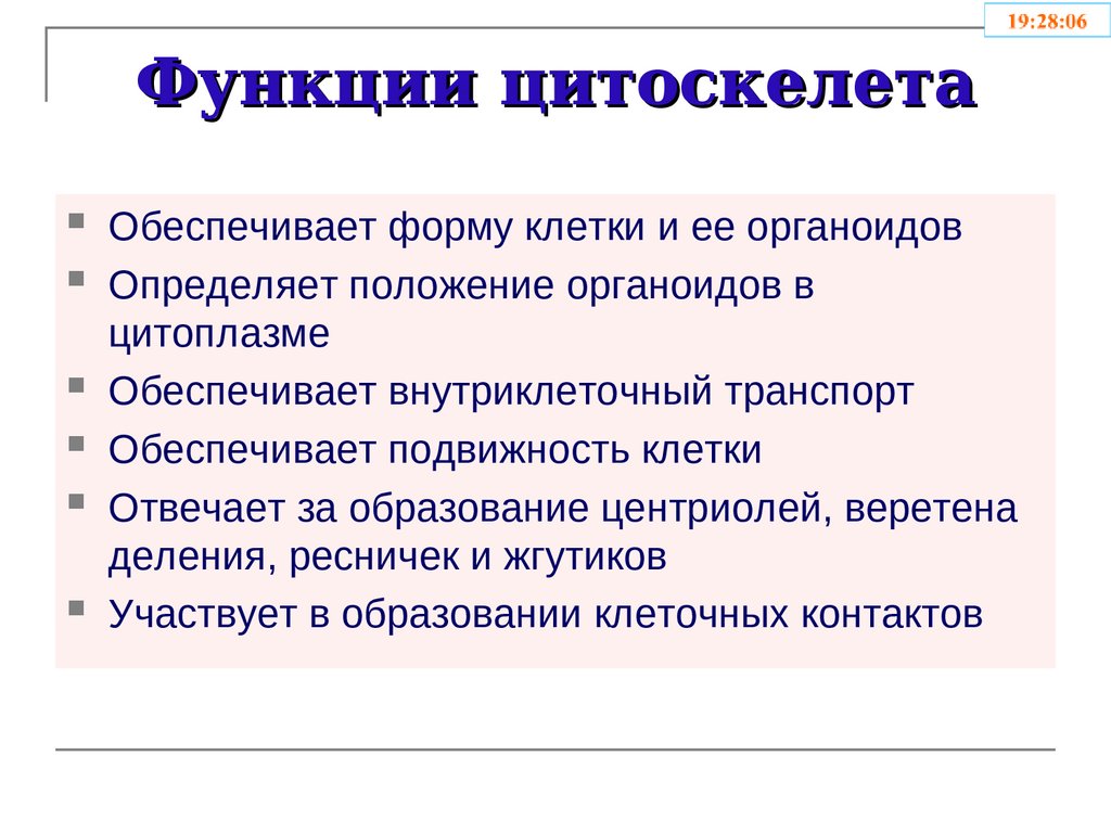 Компартментализация клетки презентация