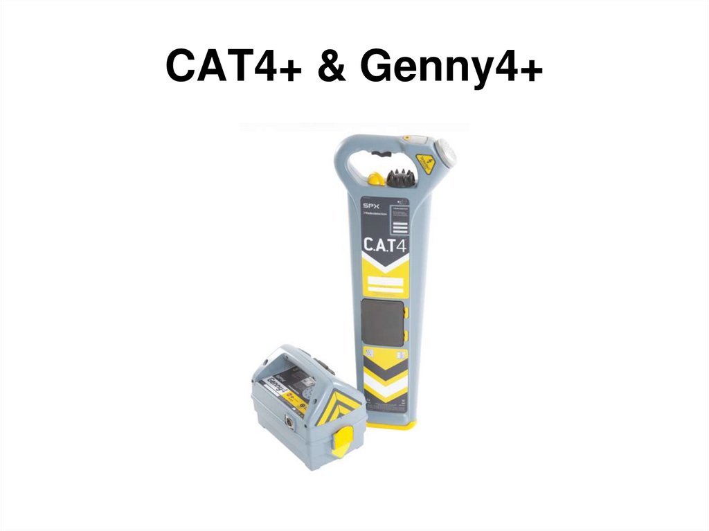 CAT4+ & Genny4+