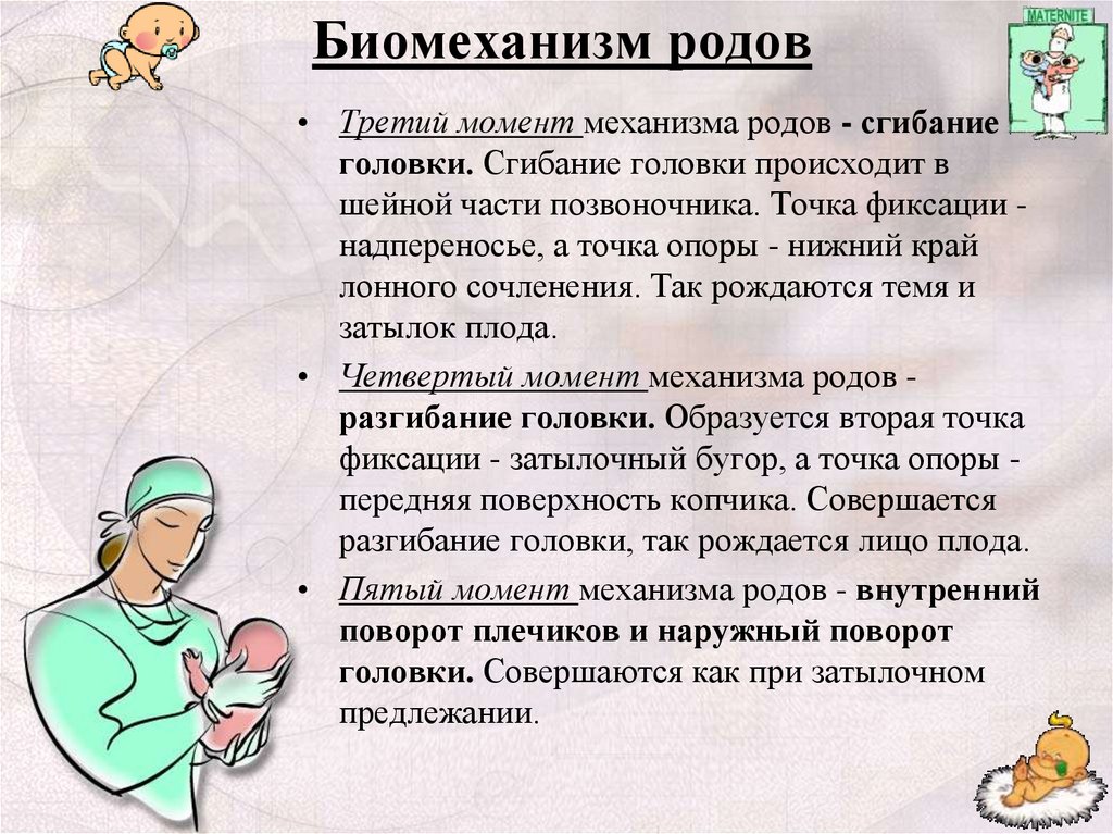 Биомеханизм родов при затылочном вставлении. Биомеханизм родов при лицевом вставлении. Вставление головки плода.