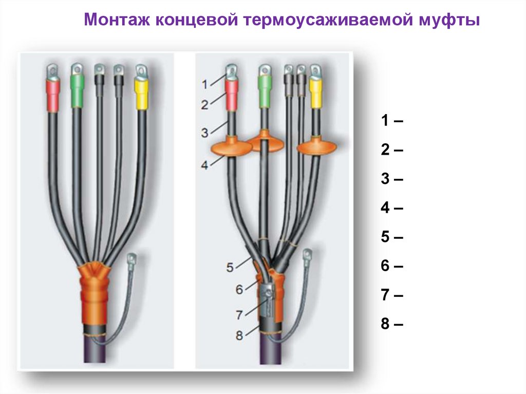 Соединительная жила