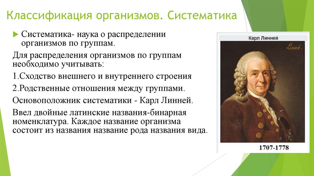 Классификация организмов