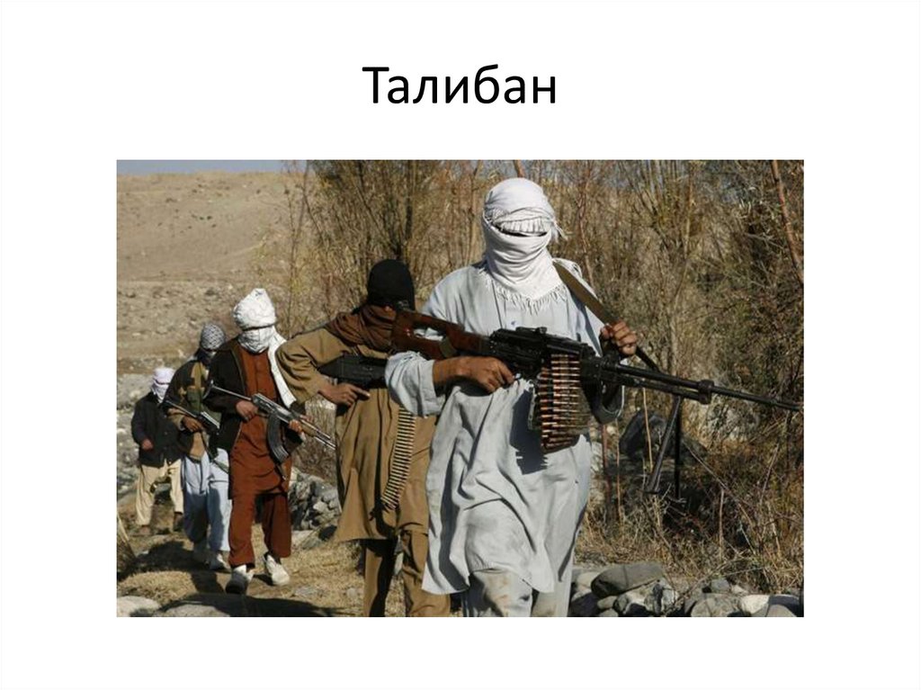 Книга талибы. Исламский эмират афганистан. Tehrike taliban pakistan. Талибан книга. Талиб.