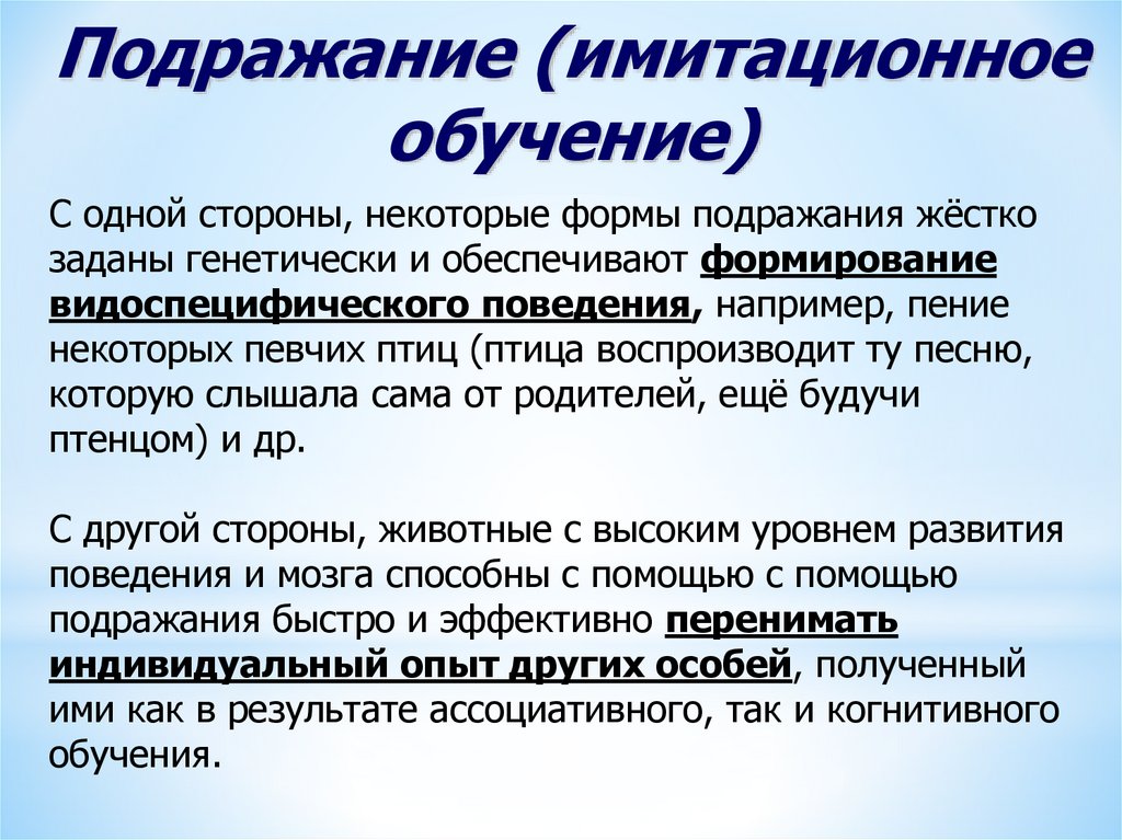 Физиология высшей нервной деятельности презентация