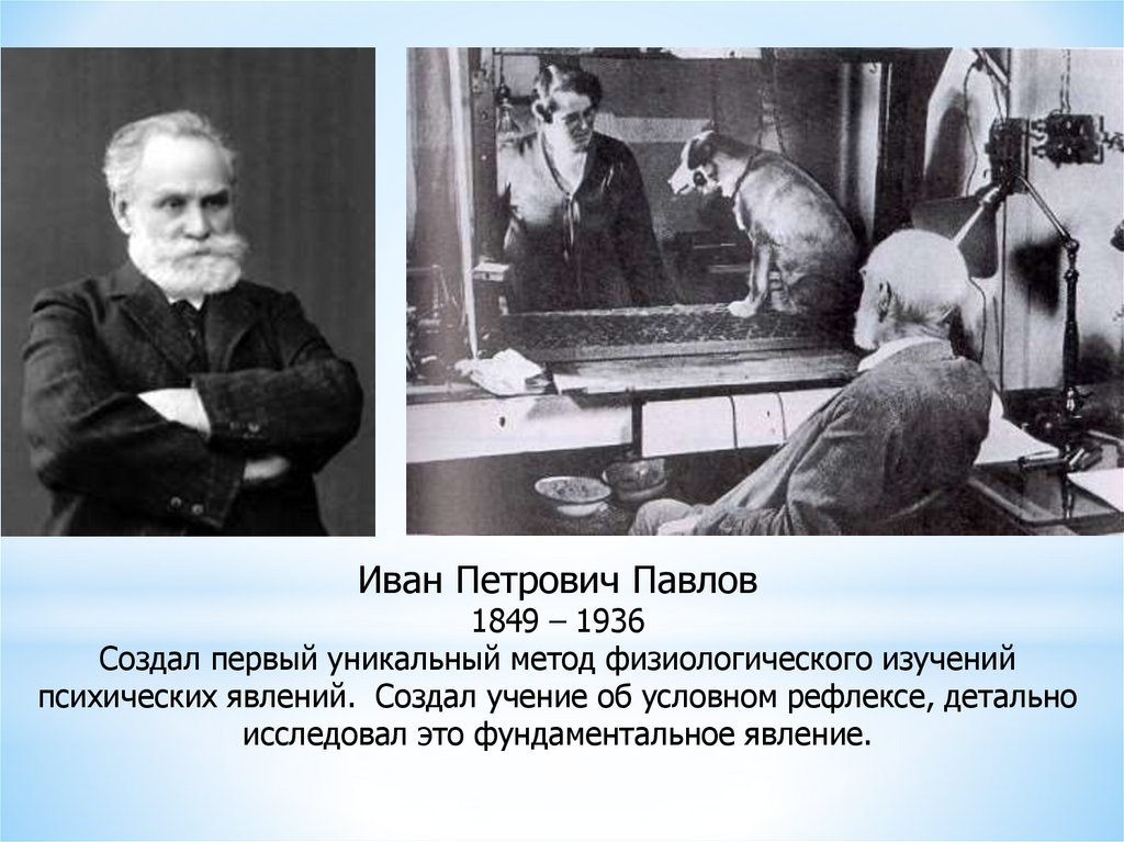 Первый уникальный. Павлов Иван Петрович рефлексы. Павлов Иван Петрович условный рефлекс. Иван Павлов Петрович рефлексв. Павлов Иван Петрович эксперименты про рефлексы.