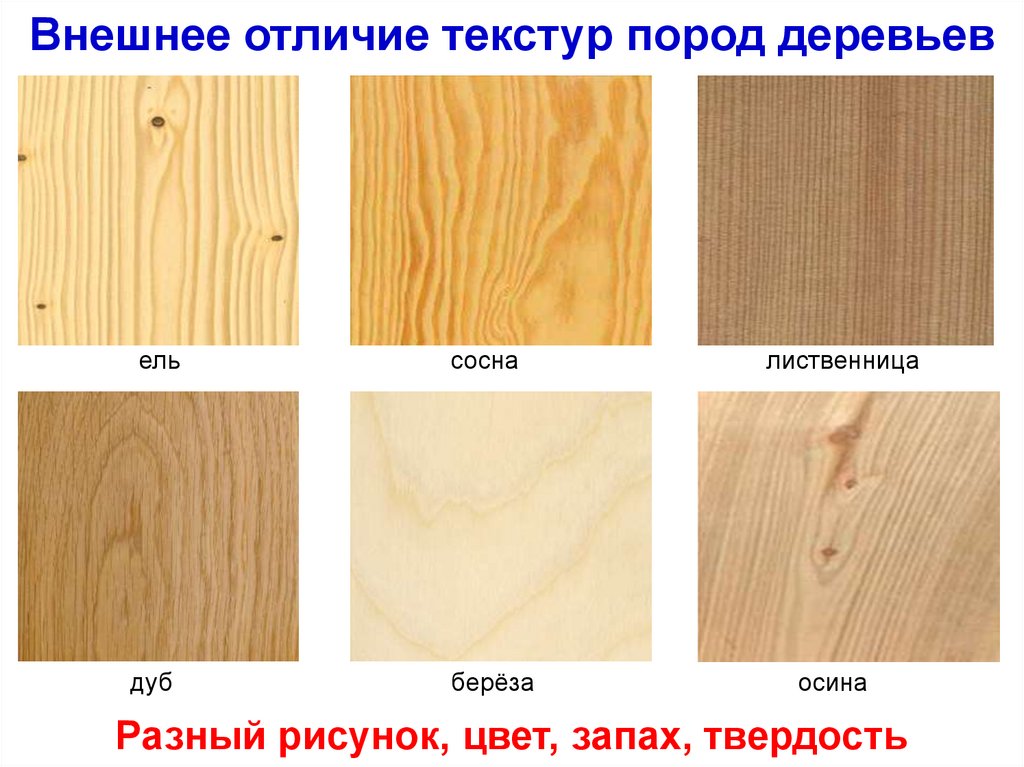 По образцам плакатам или презентациям определи виды лесоматериалов