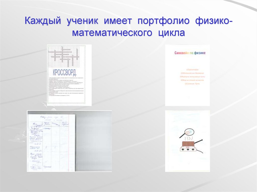 Каждый ученик имеет портфолио физико- математического цикла