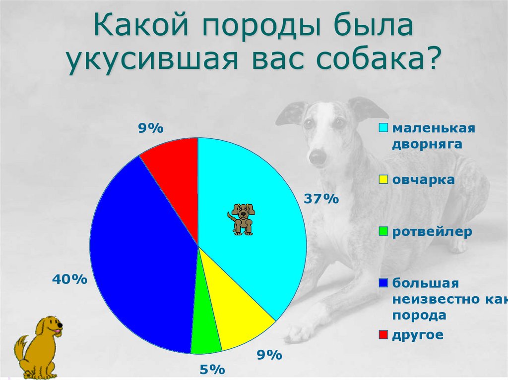 Какой породы была укусившая вас собака?