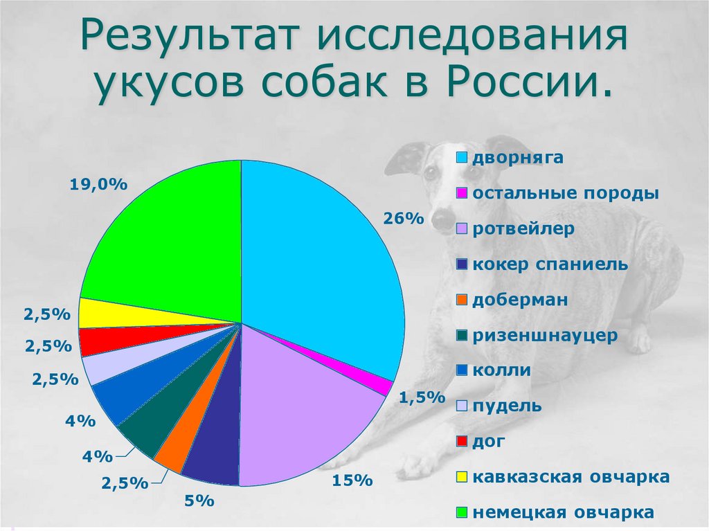 Результат исследования укусов собак в России.