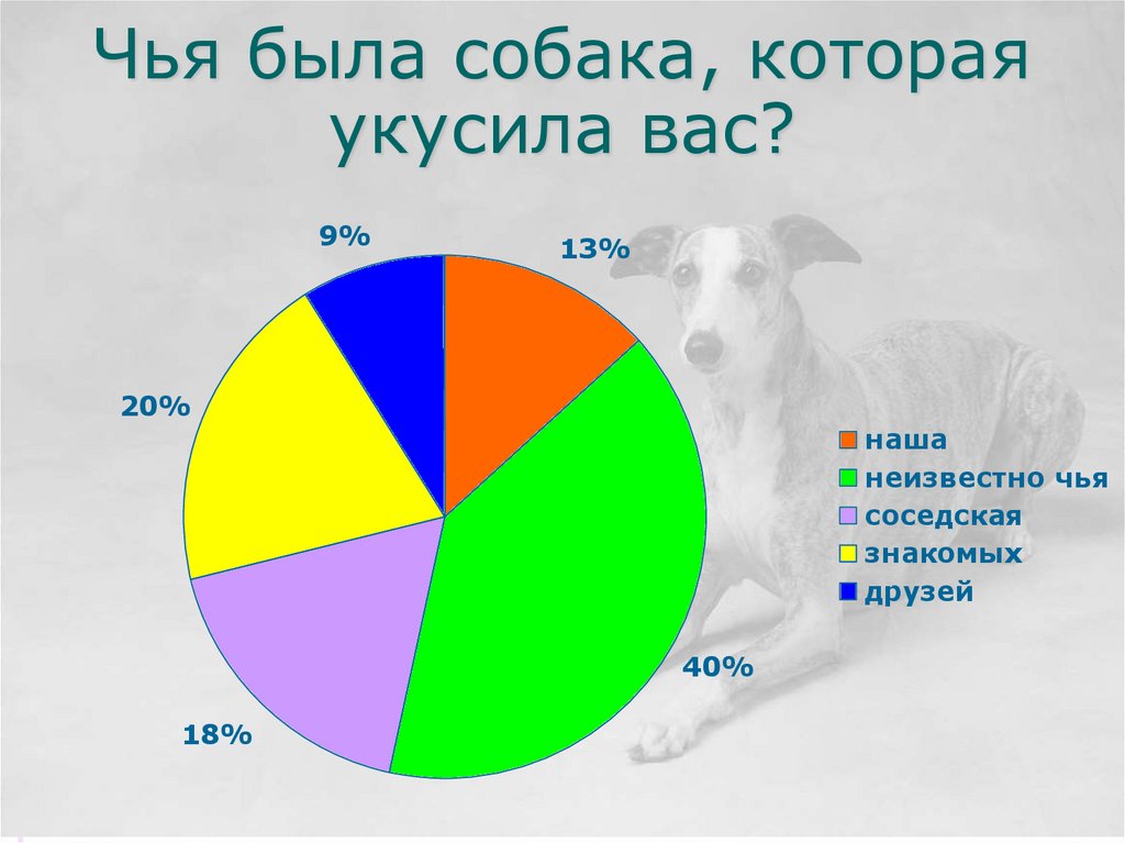 Укусы собак - презентация онлайн