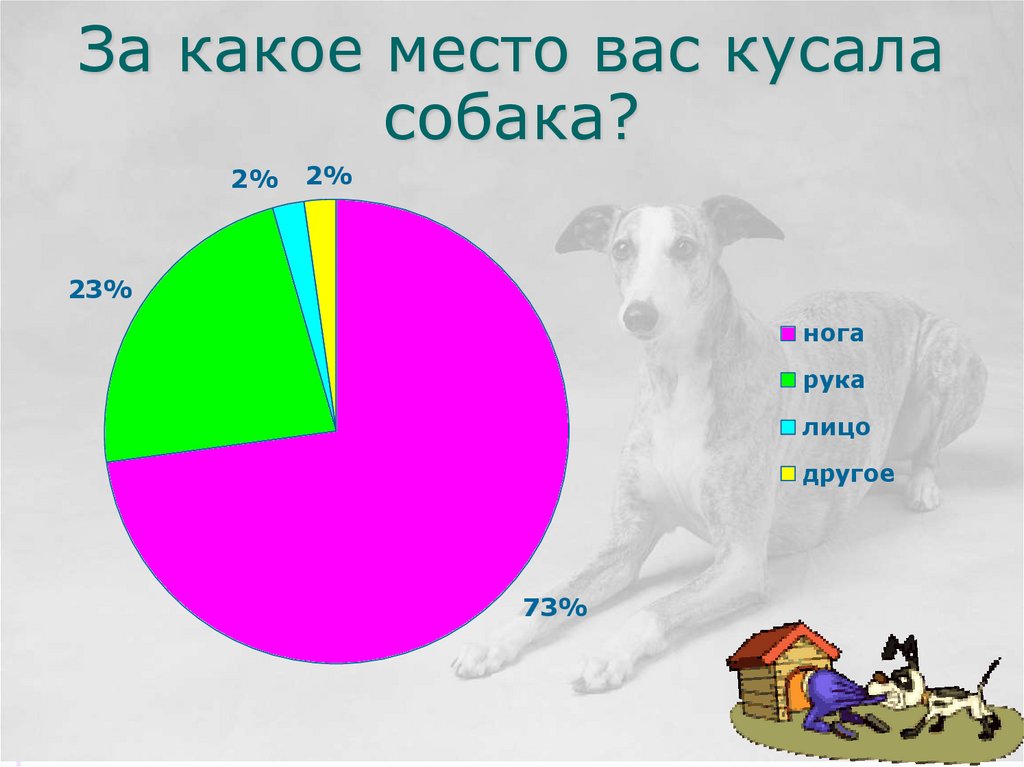 За какое место вас кусала собака?