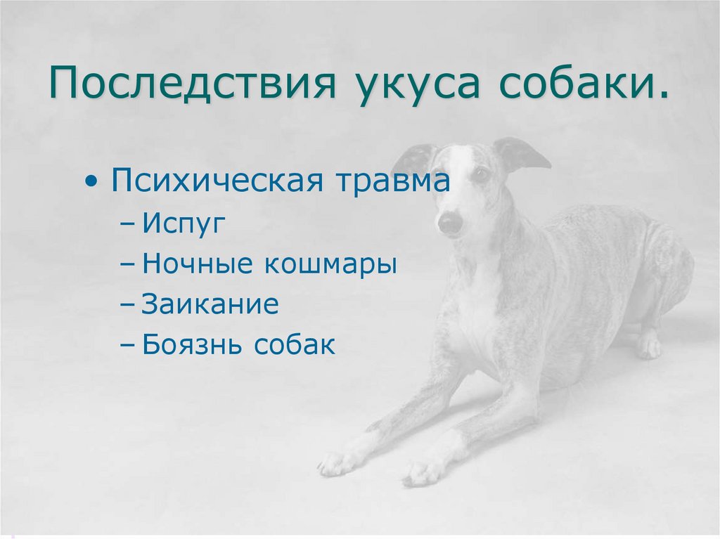 Последствия укуса собаки.