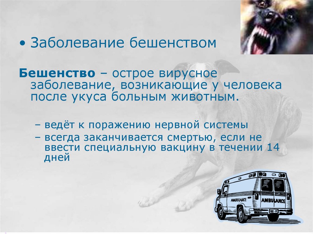 Укусы собак - презентация онлайн