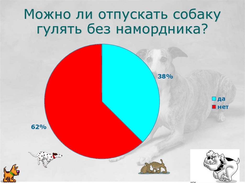 Можно ли отпускать собаку гулять без намордника?