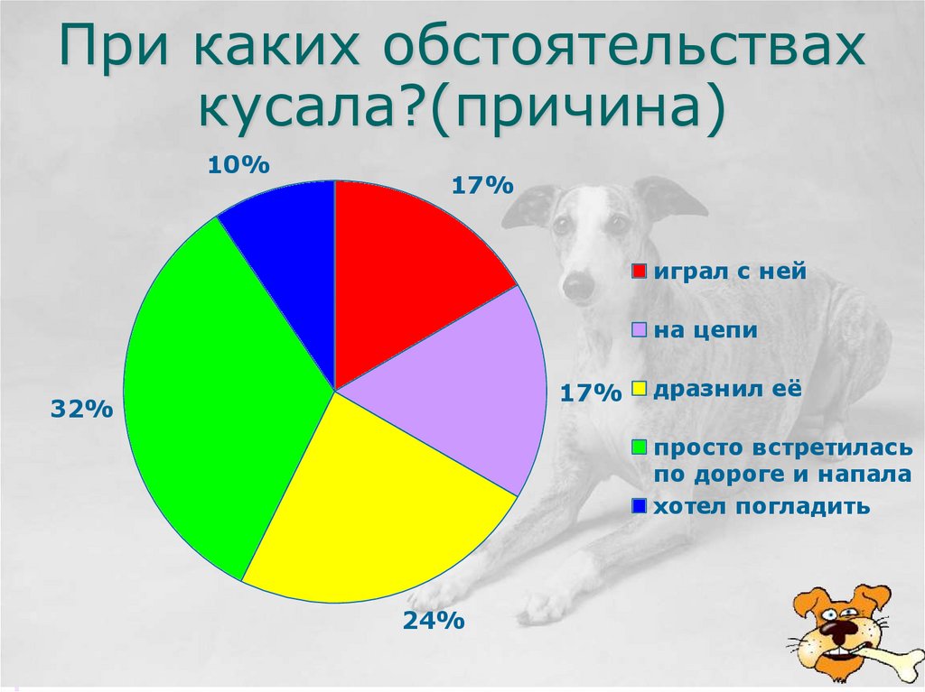 Укусы собак - презентация онлайн