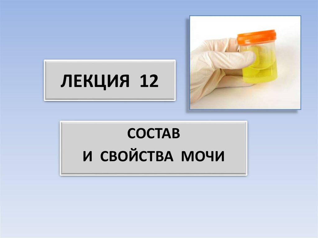 Состав и свойства мочи. Моча для презентации. Определение химических свойств мочи. Свойства мочи. Физические свойства мочи презентация.