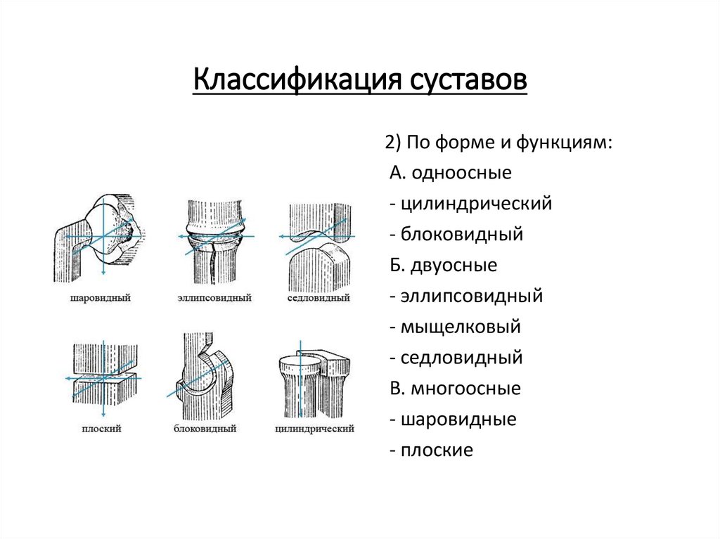 Классификация суставов