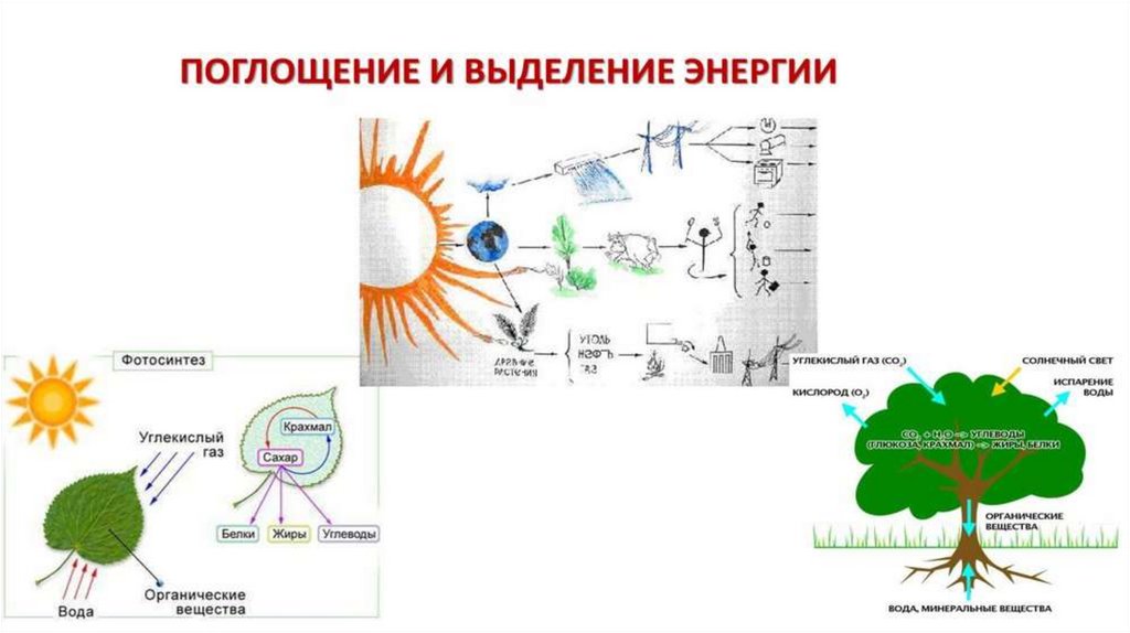 Тела выделяют энергию в процессах