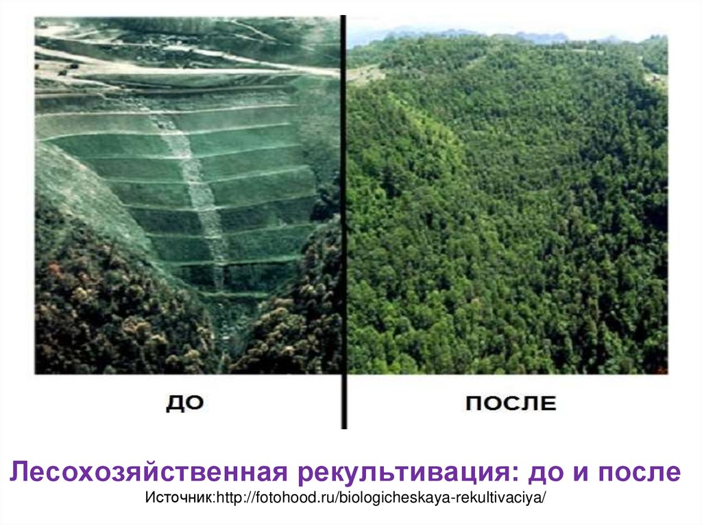 Рекультивация земель это рациональное. Земля после рекультивации. Рекультивация до и после. Рекультивация земель до и после. Биологическая рекультивация.