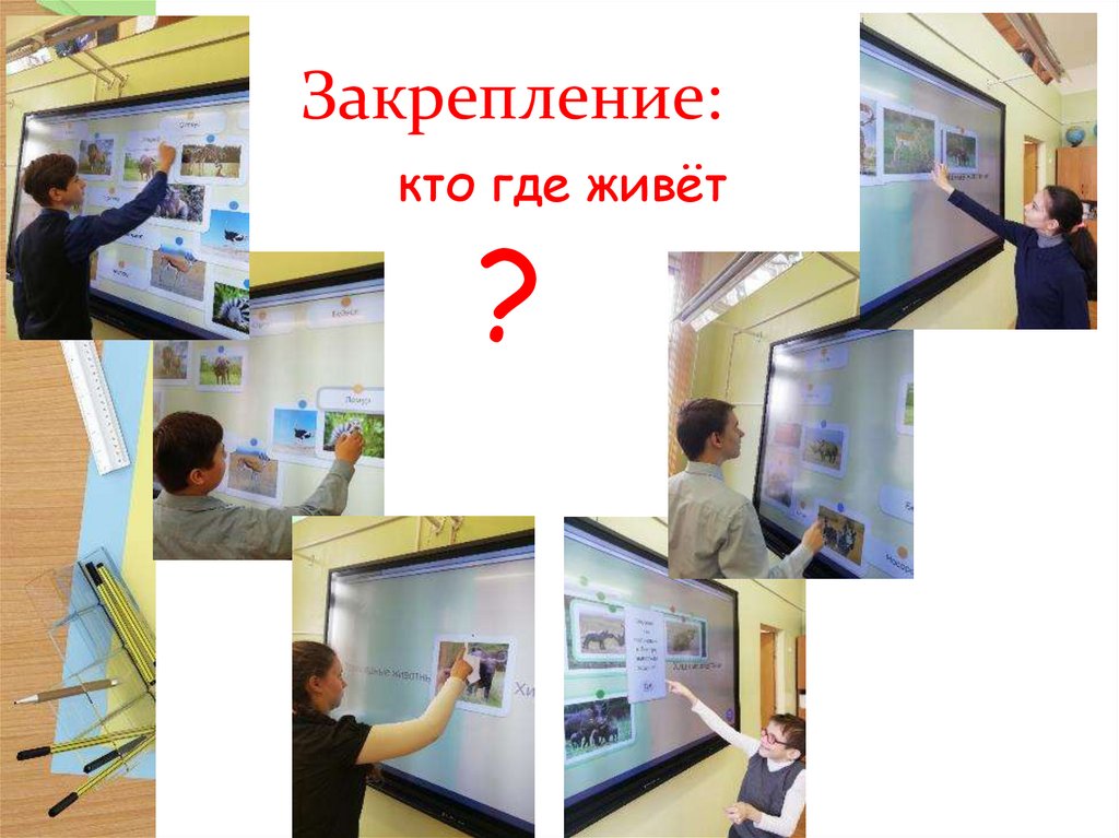 Закрепление: кто где живёт ?