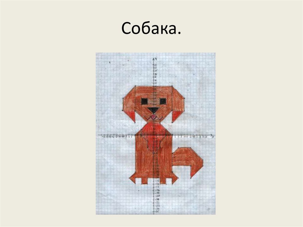 Собака.