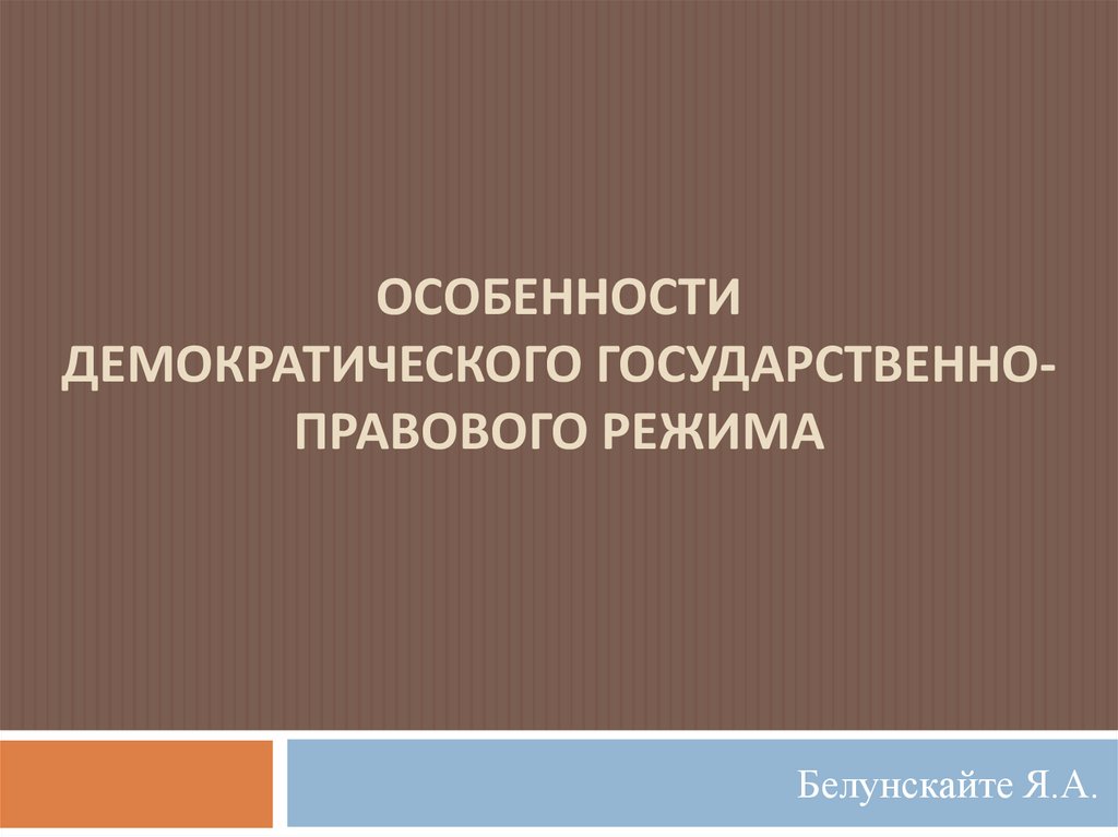 Демократическая национальная