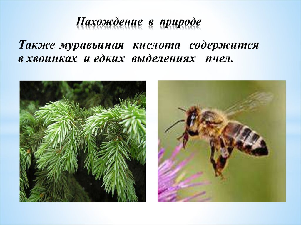 Муравьиная кислота - знакомая и незнакомая - презентация онлайн