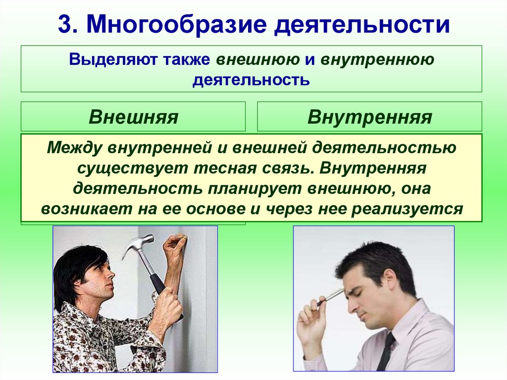 Многообразие деятельности