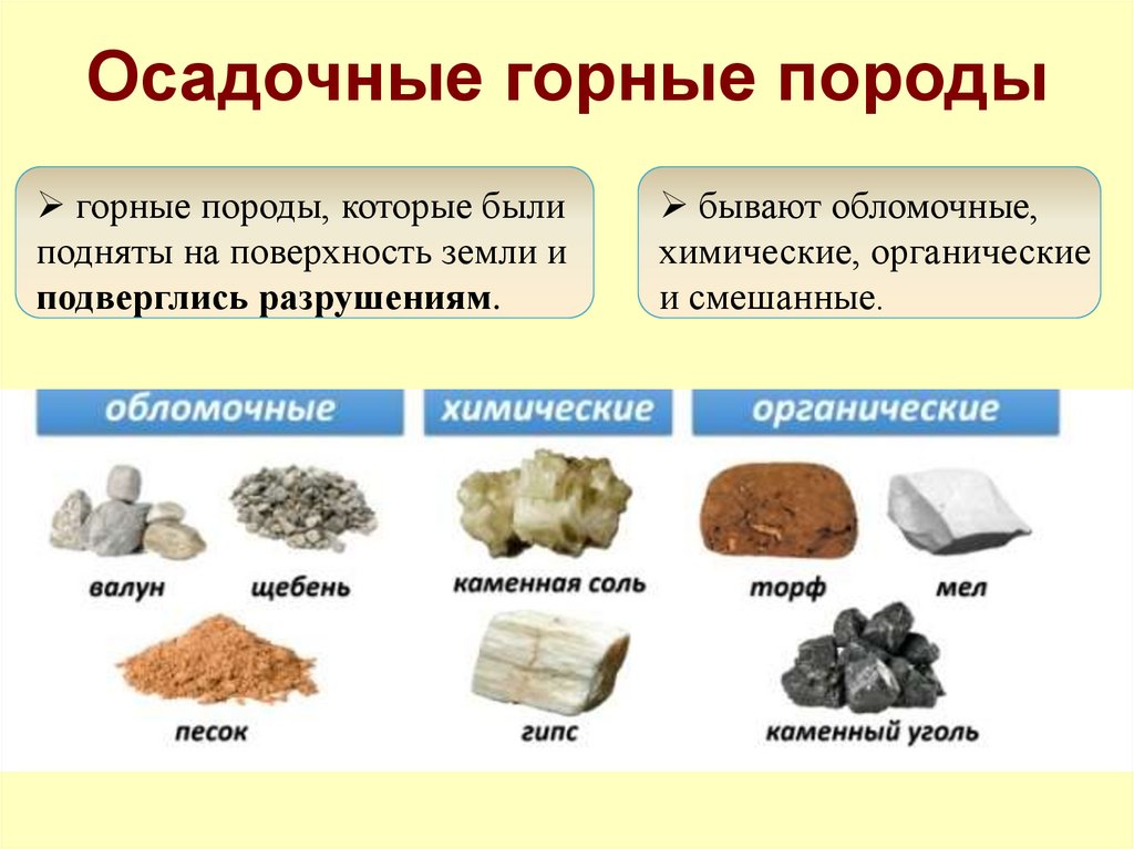 Какие полезные ископаемые в окрестностях екатеринбурга. Породообразующие минералы осадочных горных пород. Осадочные горные породы и минералы. Осадочные горные породы схема. Породообразующие минералы магматических пород.