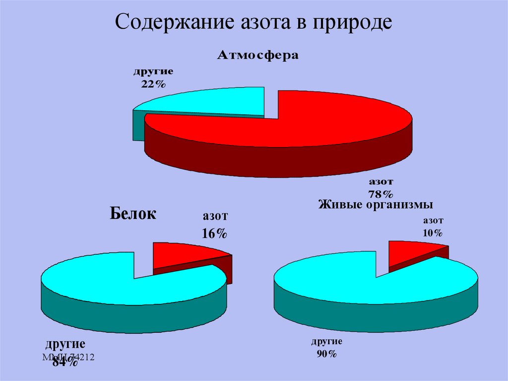 Содержание азота в живых организмах. Содержание азота в живых организмах