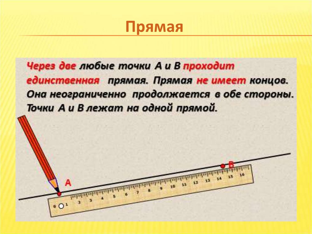 Прямые факты. Прямая. Что такое отрезок в математике. Определение прямой отрезка и луча. Прямая математика 5 класс.