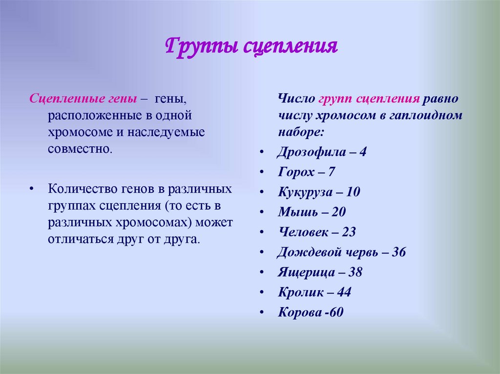 Сцепление хромосом. Группы сцепления генов. Группы сцепления у разных биологических видов. Группа сцепления это. Сцепленное наследование группы сцепления.