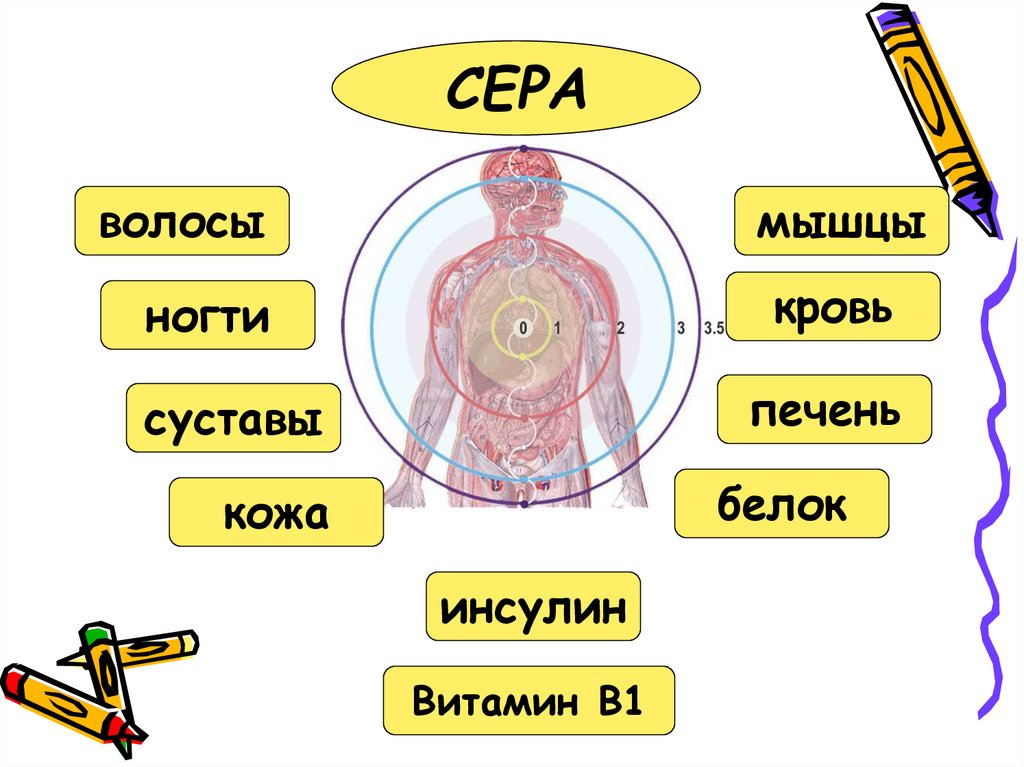 Значение серы