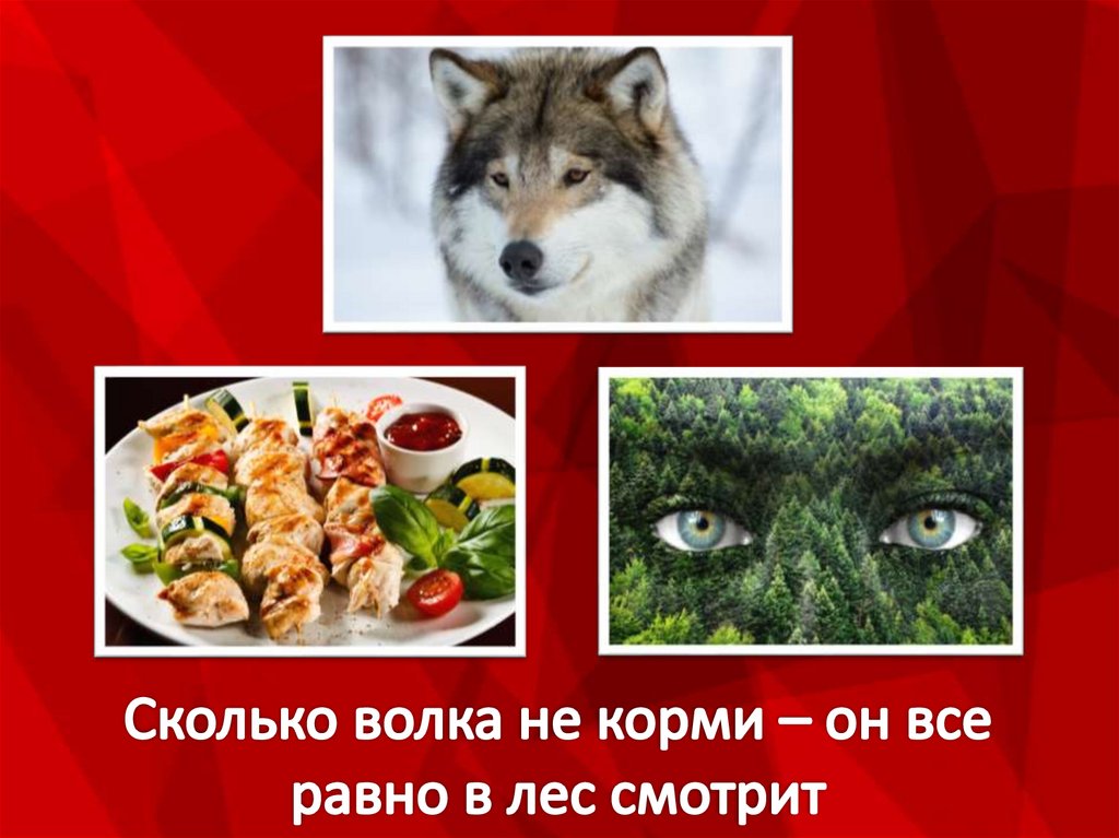 Пословица сколько волка не корми. Сколько волка не корми все равно в лес смотрит.