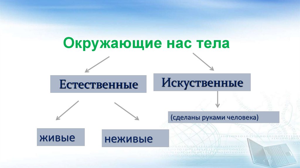 Презентация по естествознанию 4 класс