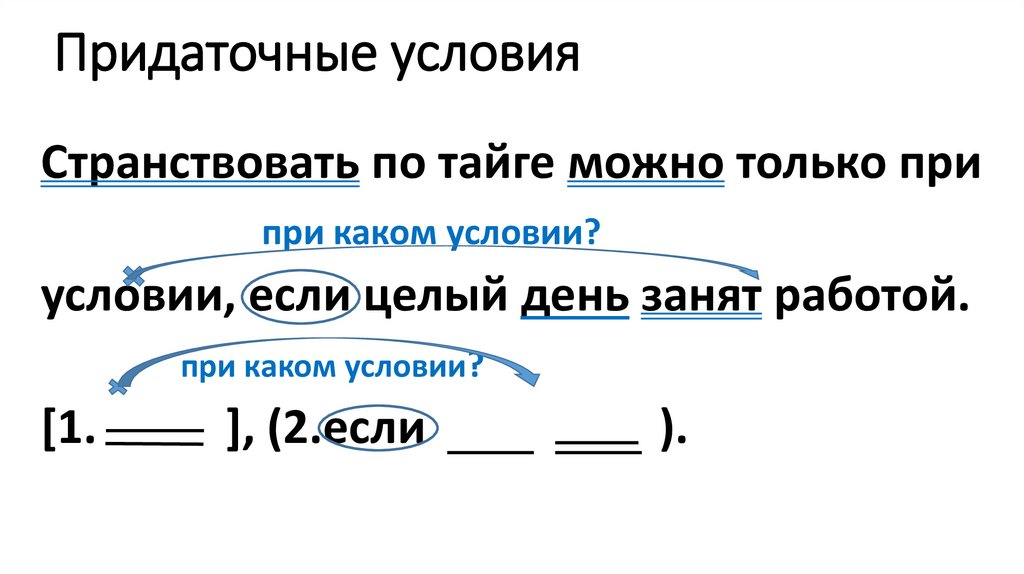 Придаточные условия - презентация онлайн