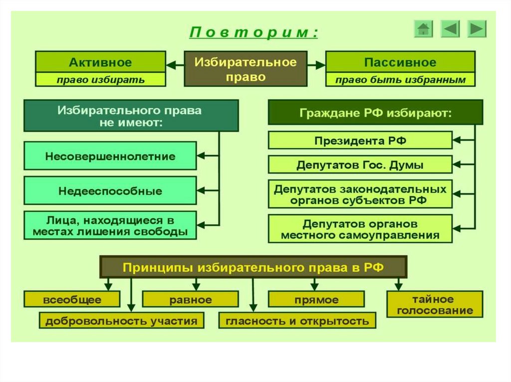 Избирательное право тайное прямое