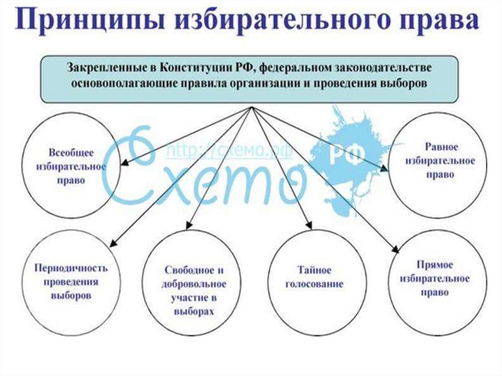 Составьте развернутый план ответа по теме избирательное право