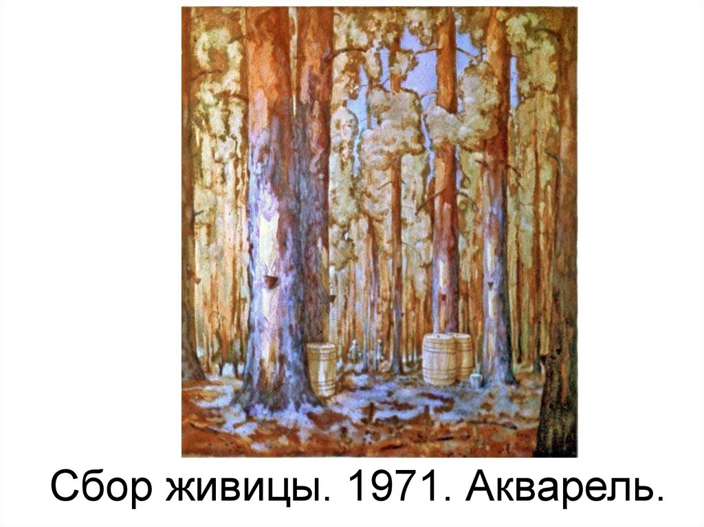 Сбор живицы. 1971. Акварель.