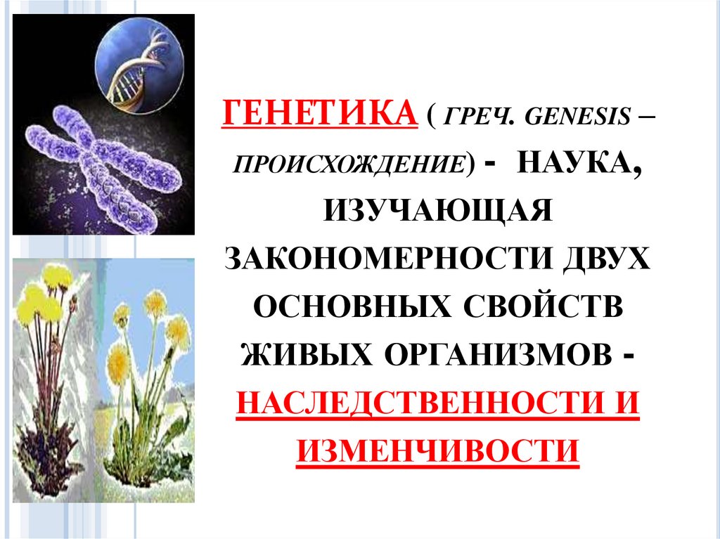 Генетика наука о закономерностях наследственности