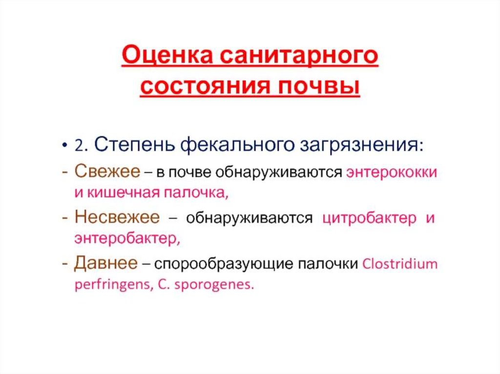 Экологическая микробиология. Устойчивость простейших к факторам окружающей среды микробиология.