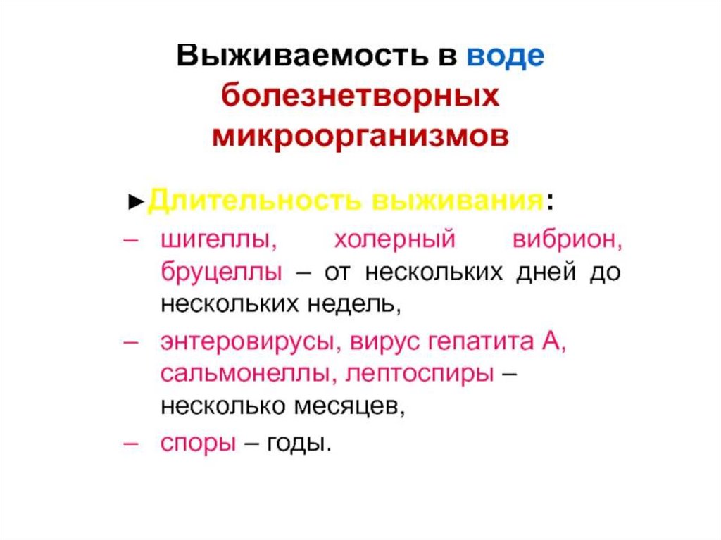 Экология микроорганизмов презентация