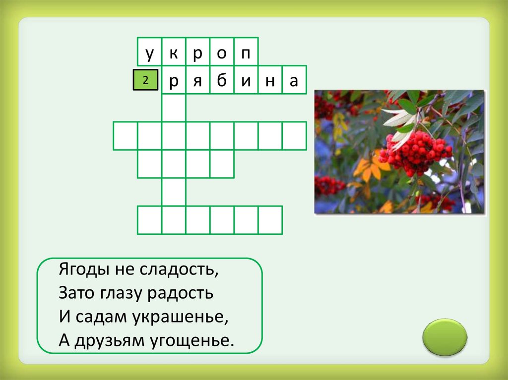 Кроссворд культурные растения 7 класс биология. Кроссворд лекарственные растения. Кроссворд по лекарственным растениям. Кроссворд на тему лекарственные растения. Кроссворд на тему растения.